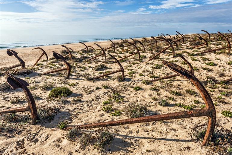 Praia do Barril, Algarve