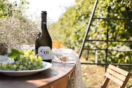 Prosecco wijnproeverij boeken met lokale hapjes