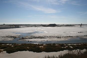 Provence, camargue