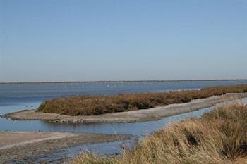 Provence, camargue