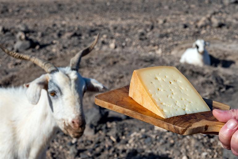Queso Majorero, Fuerteventura