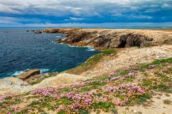 Quiberon, pointe du percho