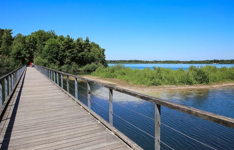 Reindersmeer in het Nationaal Park De Maasduinen, Limburg