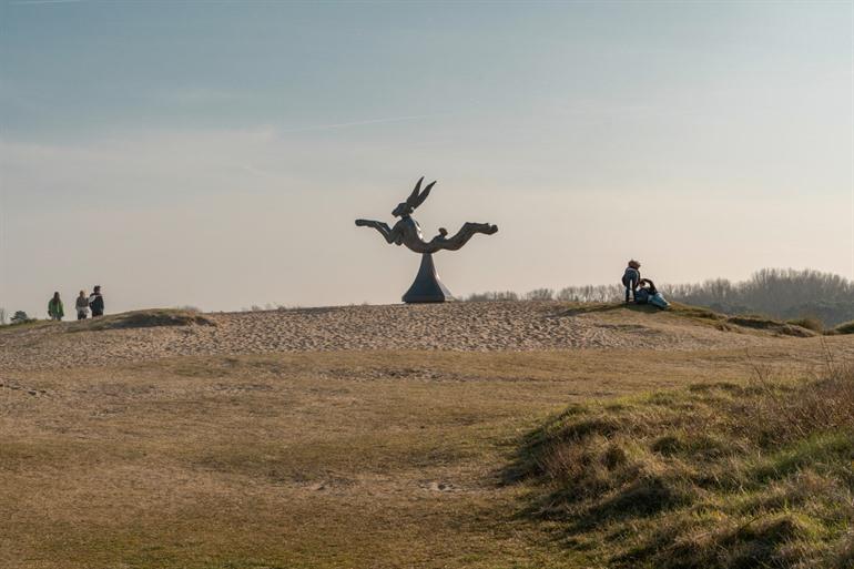 Reis in het binnenland, naar de Belgische kust