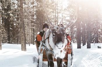 Reis naar Fins Lapland