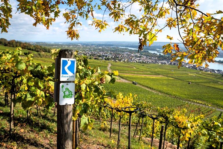 Rheinsteig, populaire lange afstandswandeling in Duitsland
