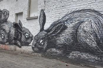ROA street-art konijnen in Gent