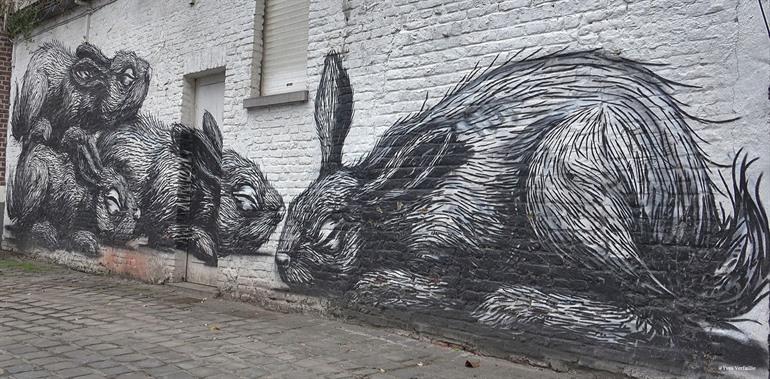 ROA street-art konijnen in Gent