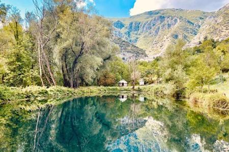 Romantic Yurt in Nature Reserve boeken