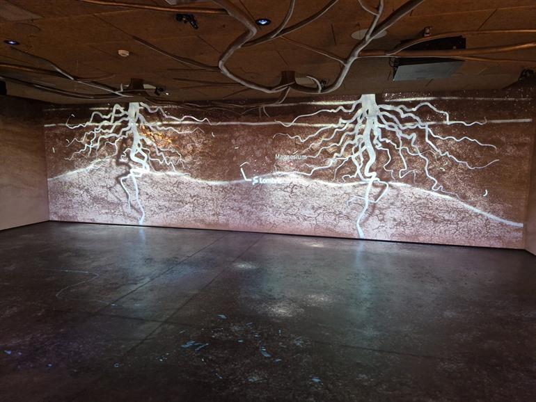 Rondleiding door Pressoria