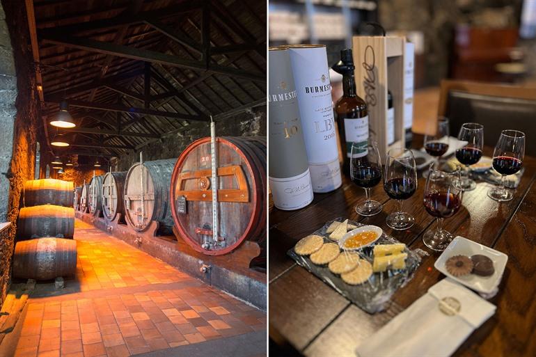 Rondleiding inclusief proeverij in de Burmester-kelder, Porto