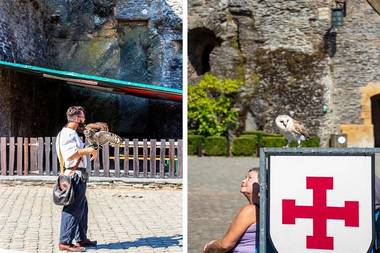 Roofvogelshow Bouillon