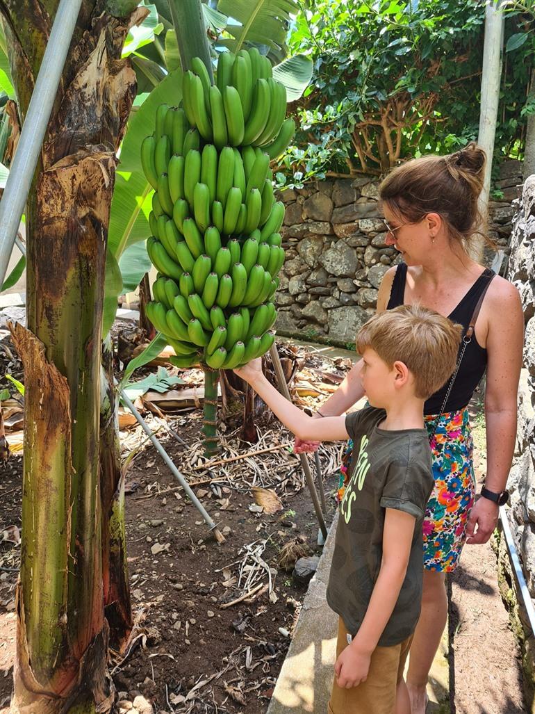 Rota da Banana - RB2 wandeling op Madeira