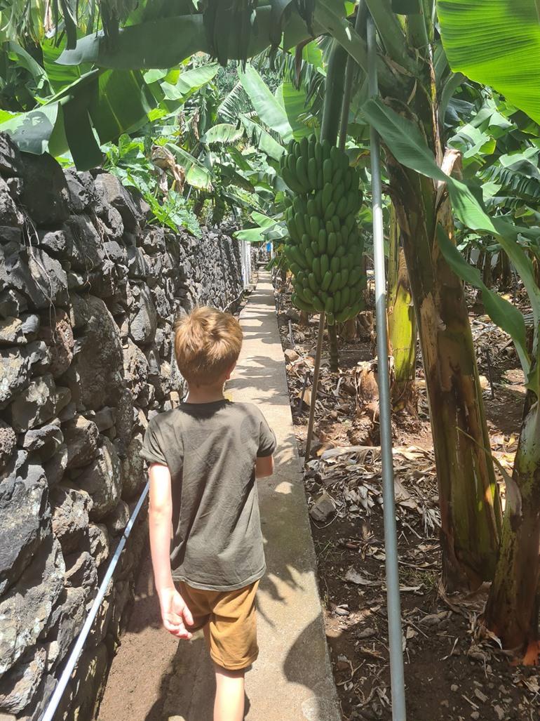 Rota da Banana - RB2 wandeling op Madeira