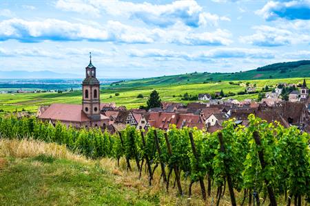 Routes des Vins, Riquewihr