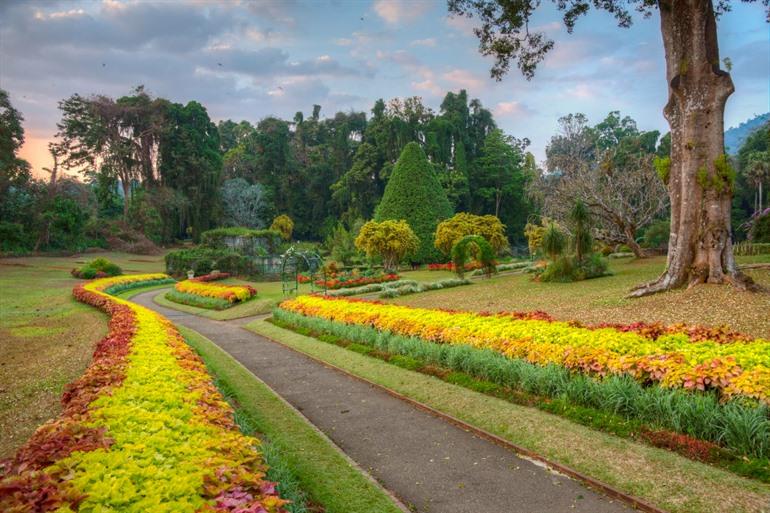 Royal Botanic Garden