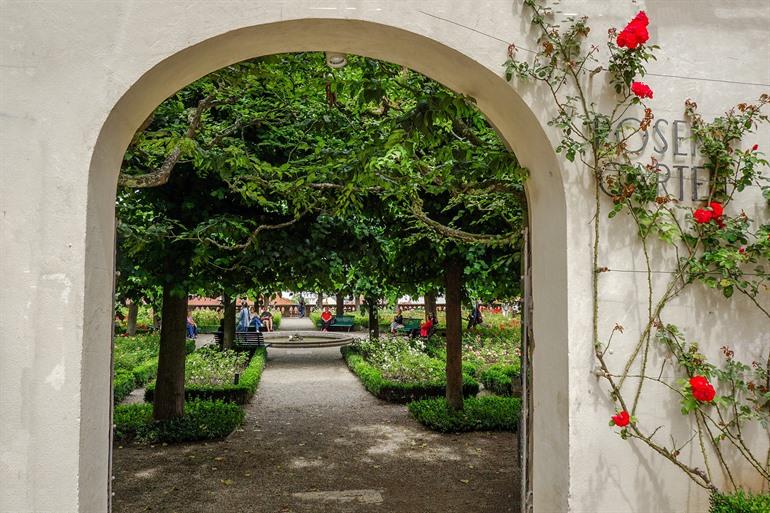 Rozentuin van de Staatsgalerie, Bamberg