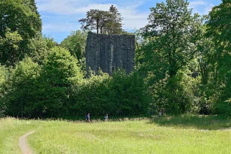 Ruine Weissenau