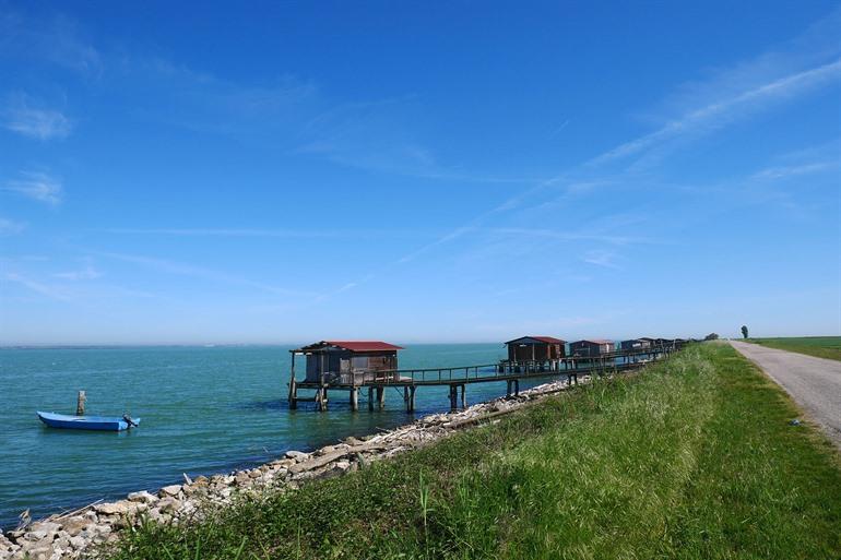 Sacca degli Scardovari, Parco del Delta del Po 