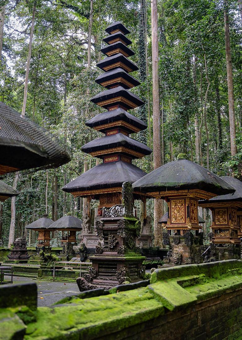 Sacred Monkey Forest bezoeken bij Ubud