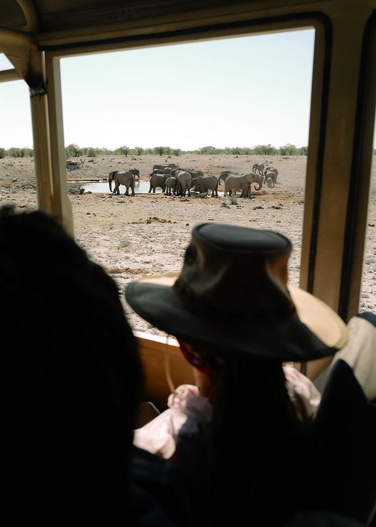 Safari door het Etosha National Park