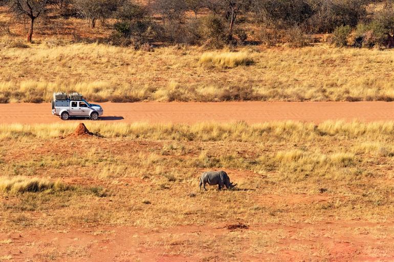 Safari door het Waterberg Plateau NP