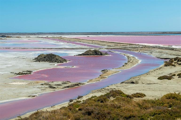 Salin de Badon, Camargue