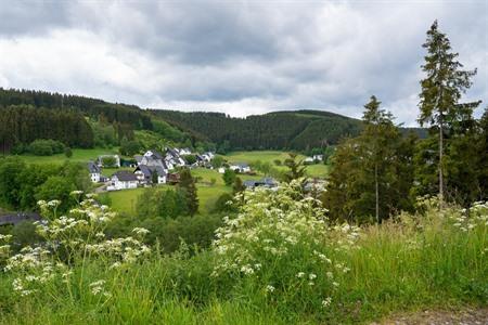 Sauerland