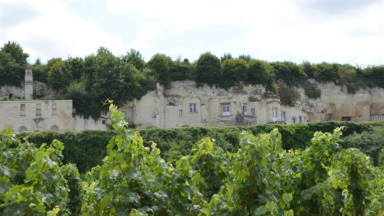 Saumur grotwoningen en wijngaard