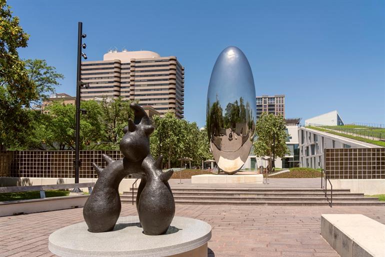 Sculpturen aan het Museum of Fine Arts Houston