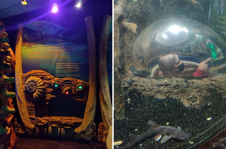 SEA LIFE met kinderen bezoeken