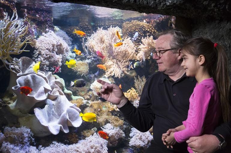 Sea Life Speyer bezoeken, Rijnland-Palts