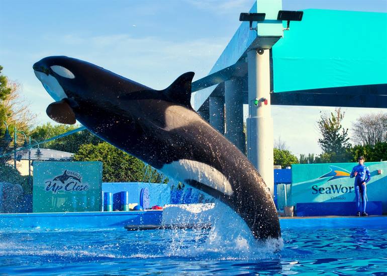 SeaWorld Park Resortscomplex