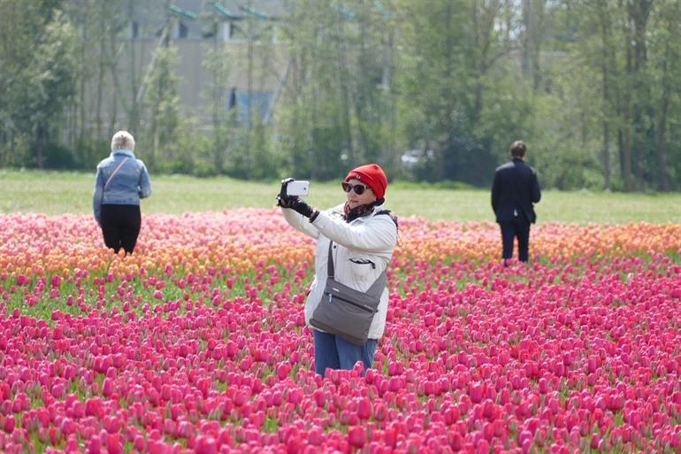 Selfie maken tussen de bloemen bij De Tulperij, Voorhout