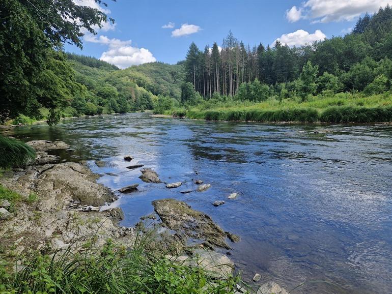 Semois in Rochehaut - Laddertjeswandeling