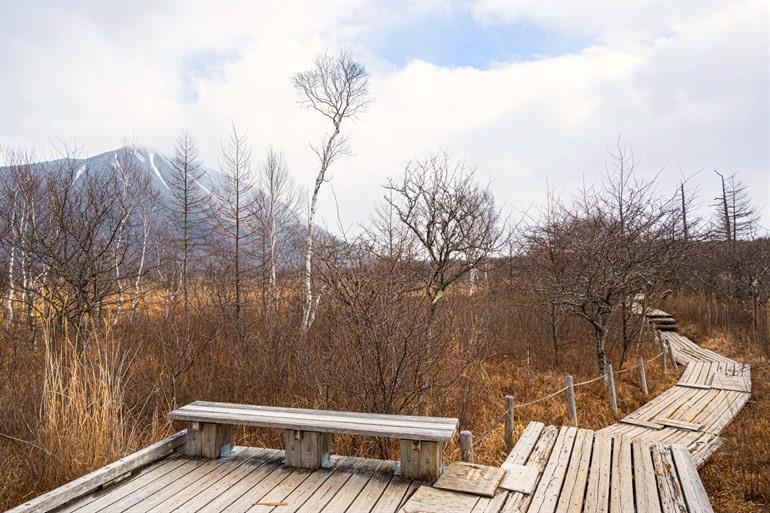 Senjogahara Marshland