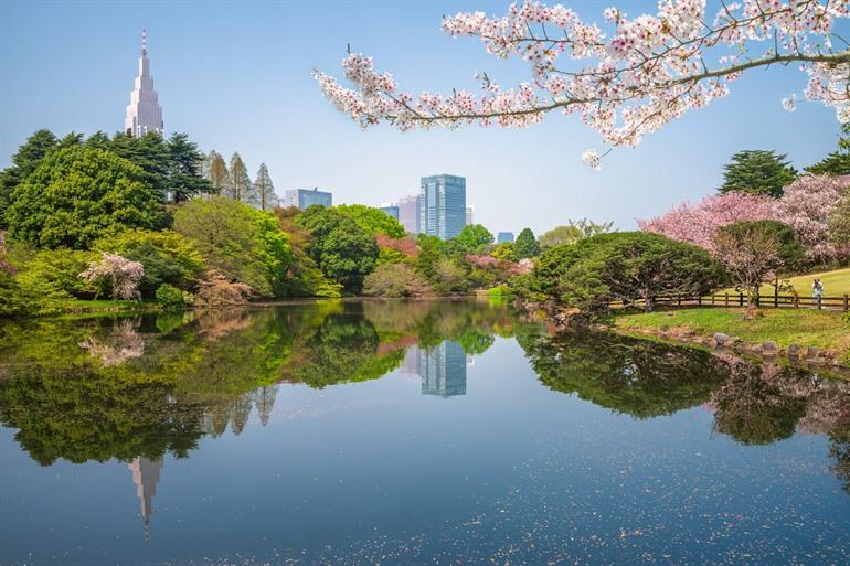 Shinjuku Gyoen National Garden