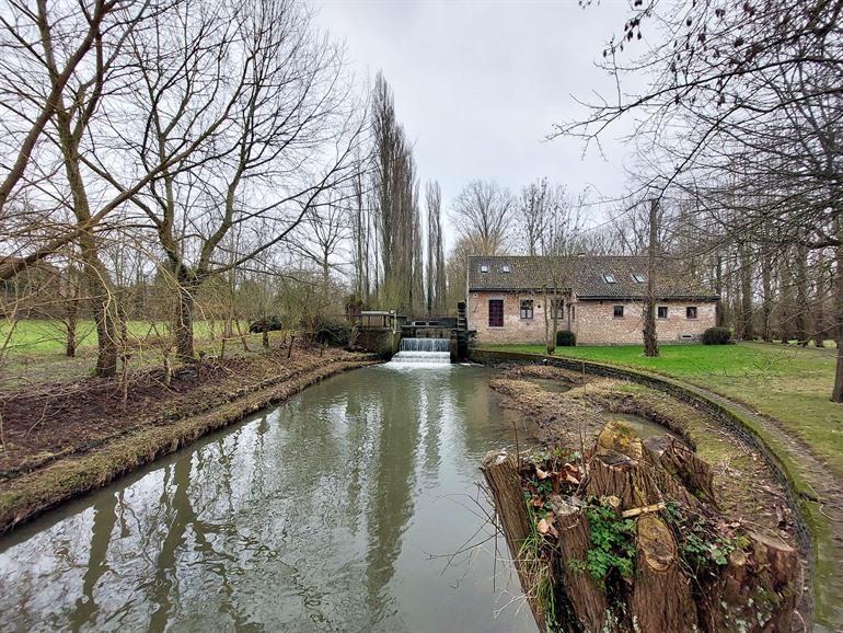 Sint-Waltrudismolen of de Hernemolen in Herne, Pajotteland