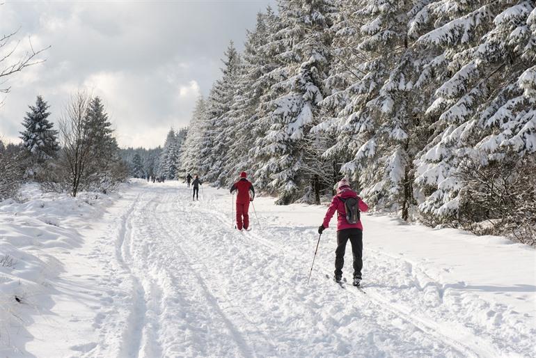 Skiërs in de Hoge Venen, Ardennen