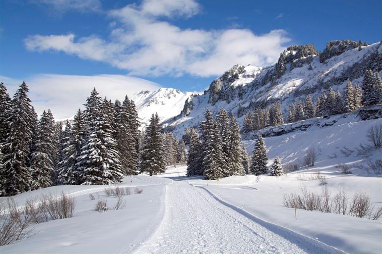 Skidorp Flaine in Le Grand Massif, Franse Alpen