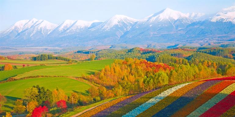 Sneeuw en bloemvelden op Hokkaido