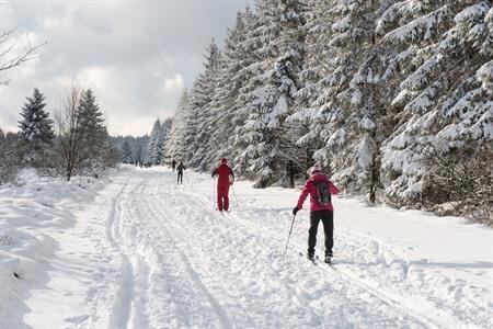 Sneeuw in de Ardennen: Ski-en langlauf gebieden