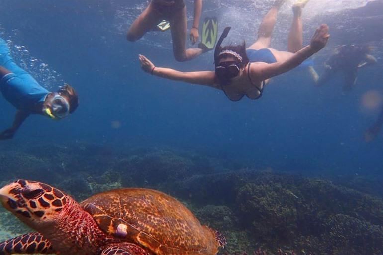 Snorkelen in Trincomalee