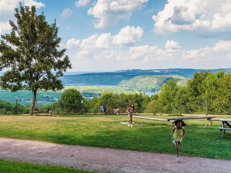 Sonnenberg, Leiwen in Duitsland