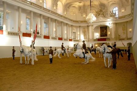 De Spaanse rijschool van Wenen bezoeken? Info, tips & tickets (2026)