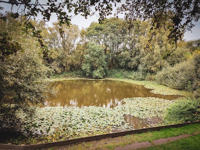 Spanbroekmolenkrater in Heuvelland