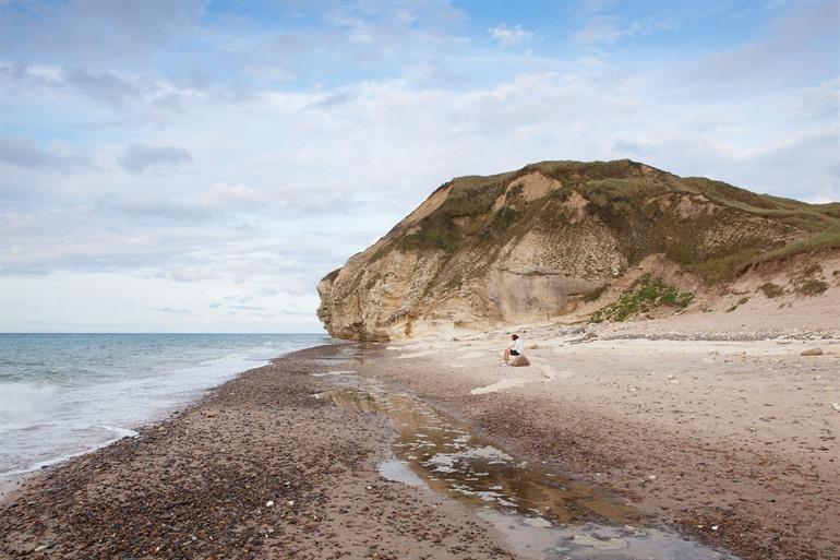 Spot de vogel op de Bulbjerg, Denemarken