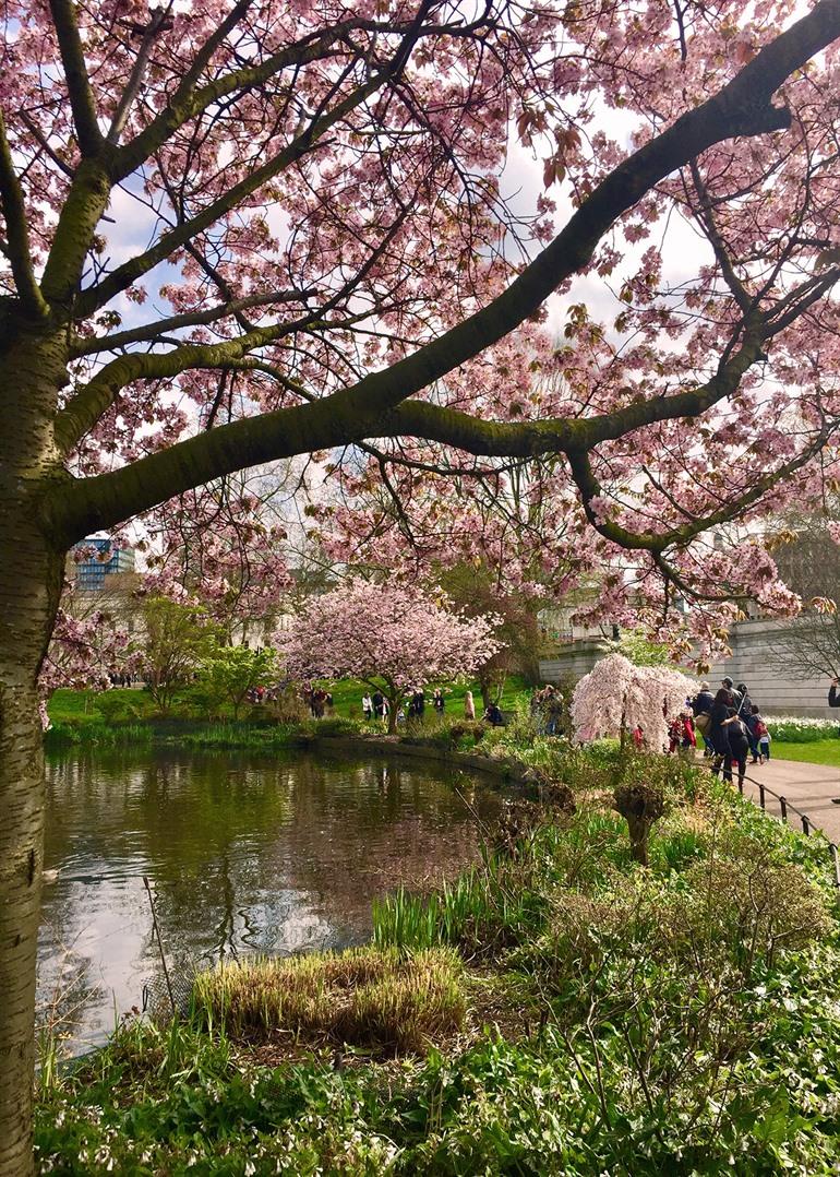 St James's Park in Londen