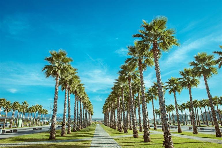 Stadscentrum Orlando