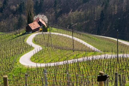 Straat in de vorm van een hartje Maribor